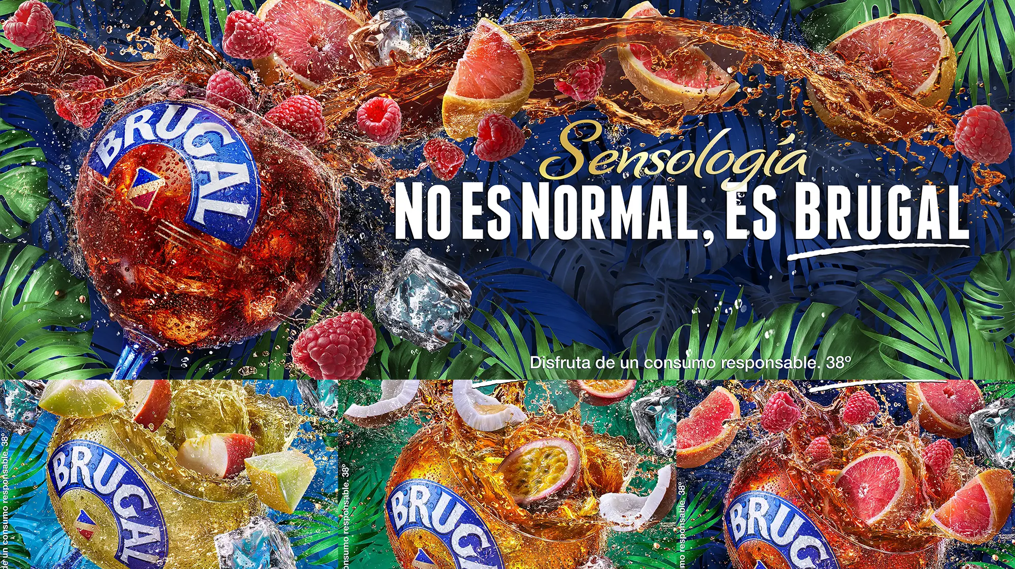 brugal_10