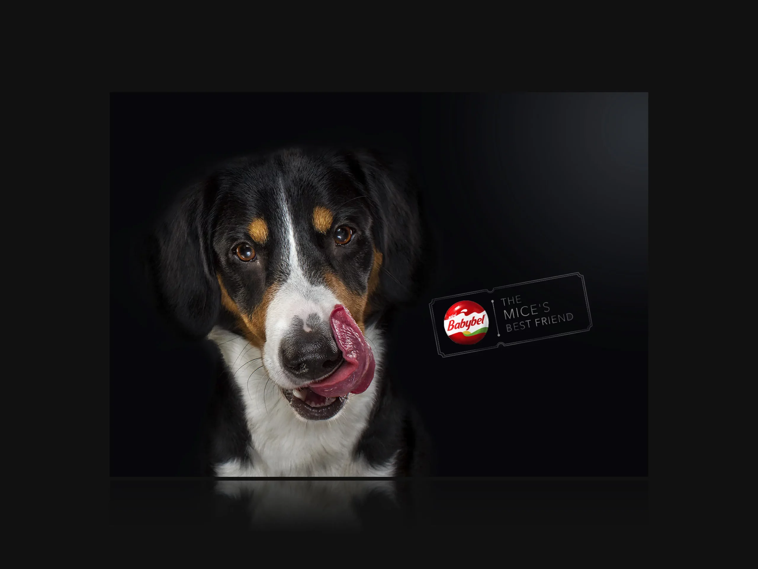 BABYBEL 2