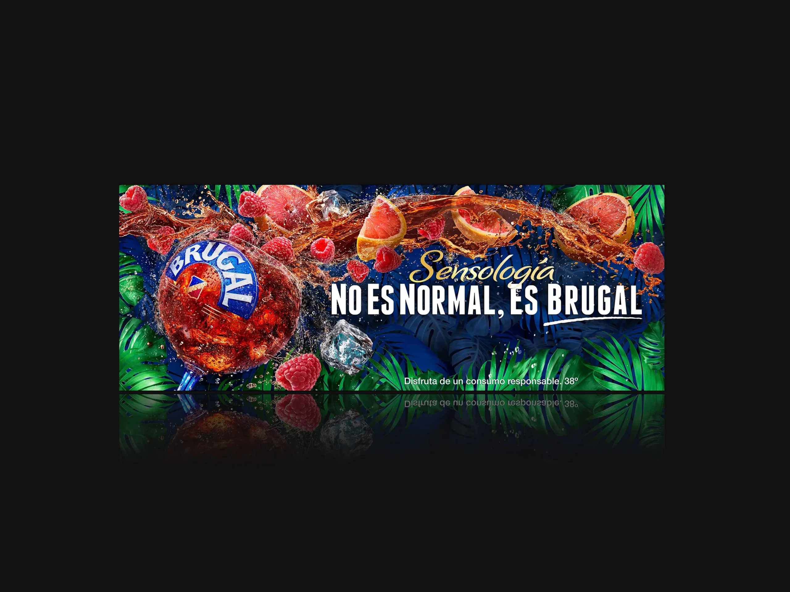 BRUGAL-NAT 10
