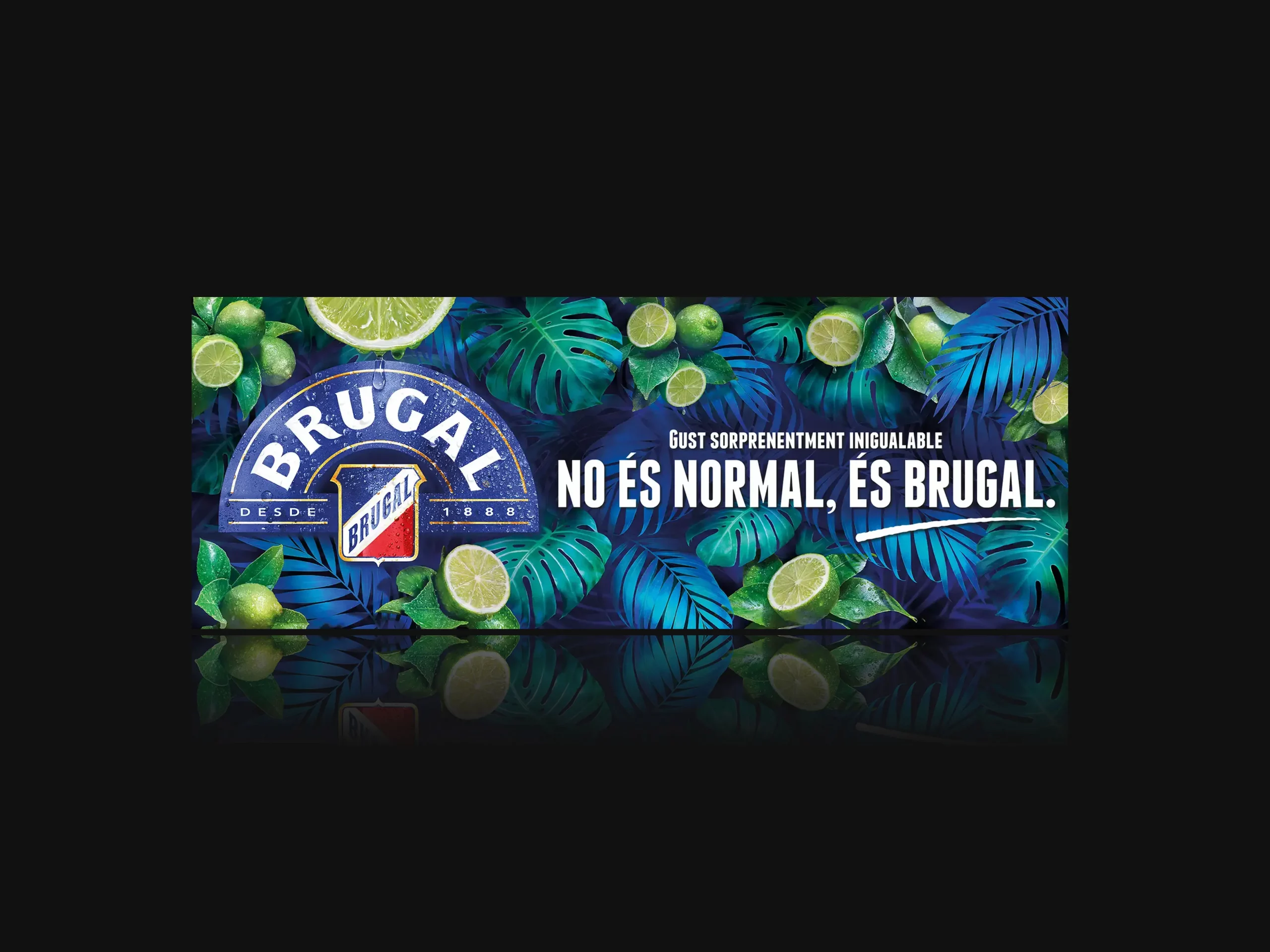 BRUGAL-NAT 8