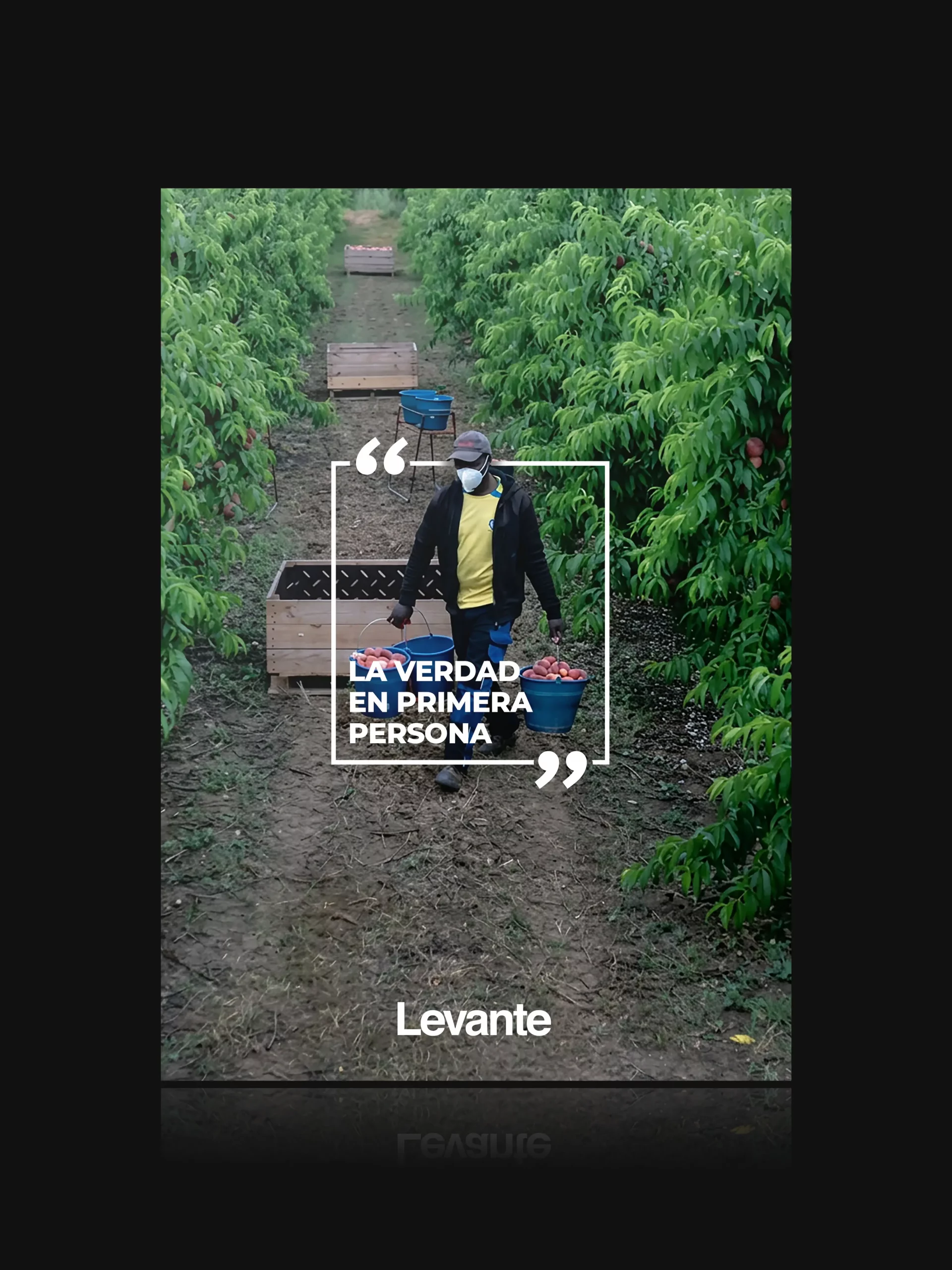 LEVANTE-FOCO 3